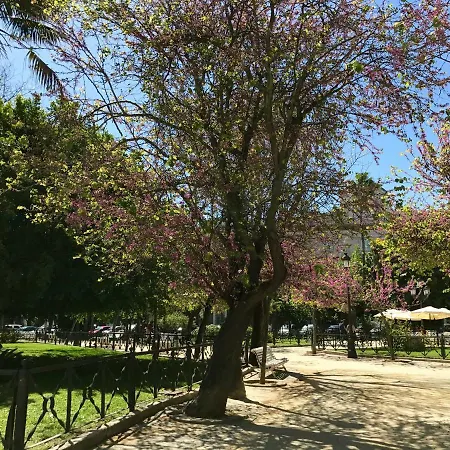 El Patio *